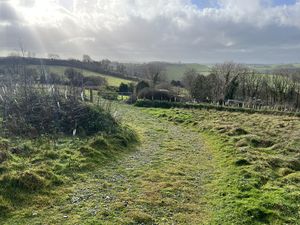 Photo 2- click for photo gallery